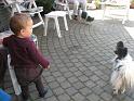 2008_06_06 (24)